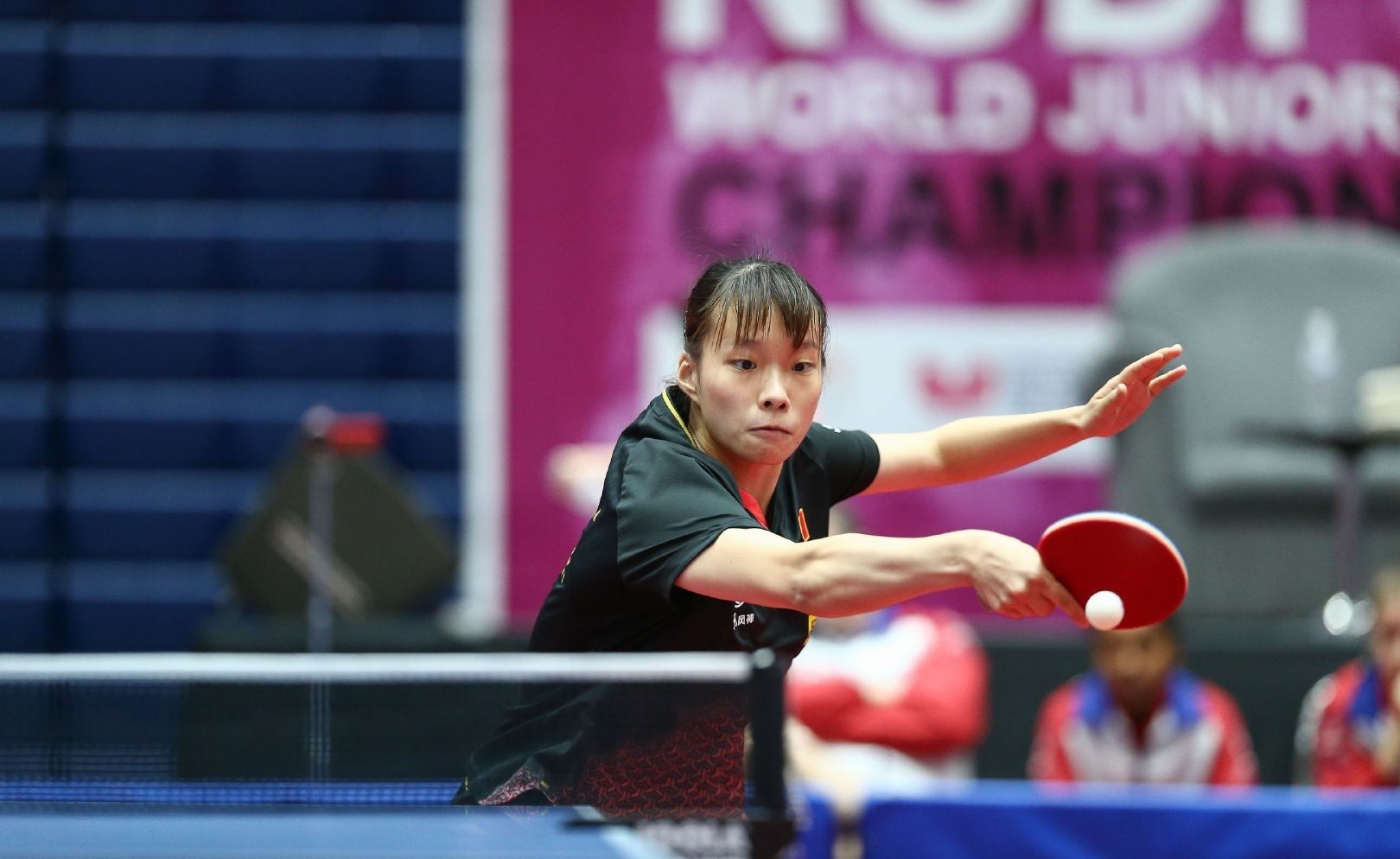 以触及的高 以触及的高